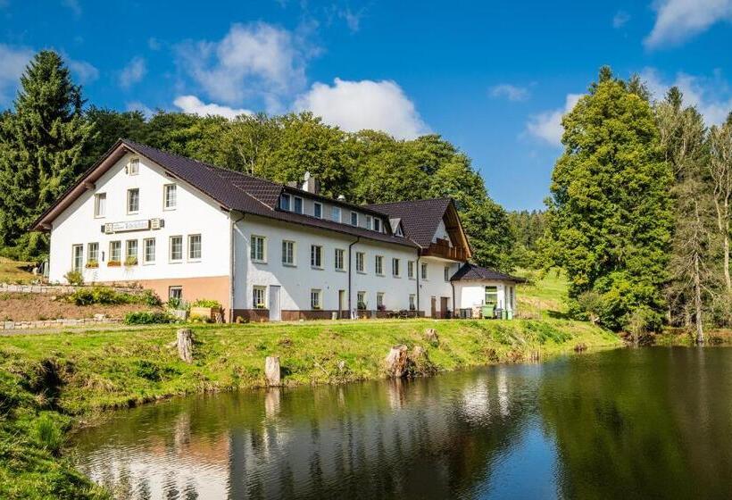 هتل Waldschlösschen Brotterode