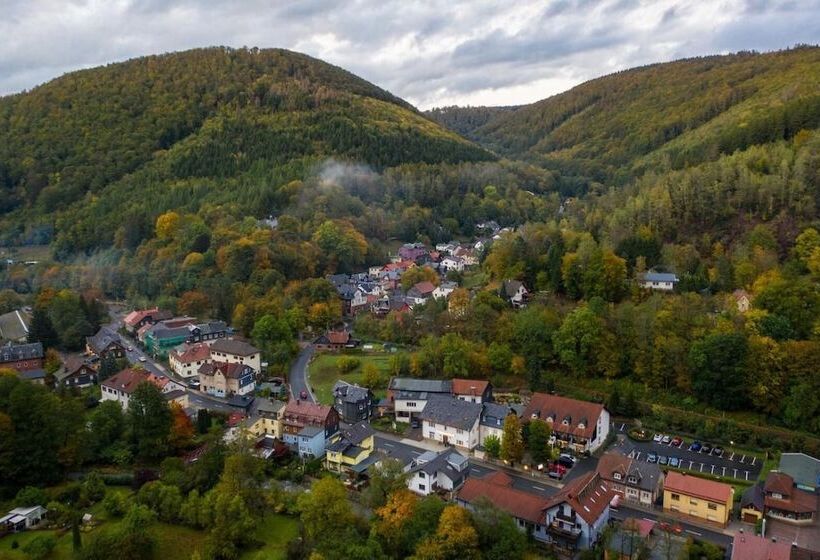 פנסיון Gasthof Hüttensteinach