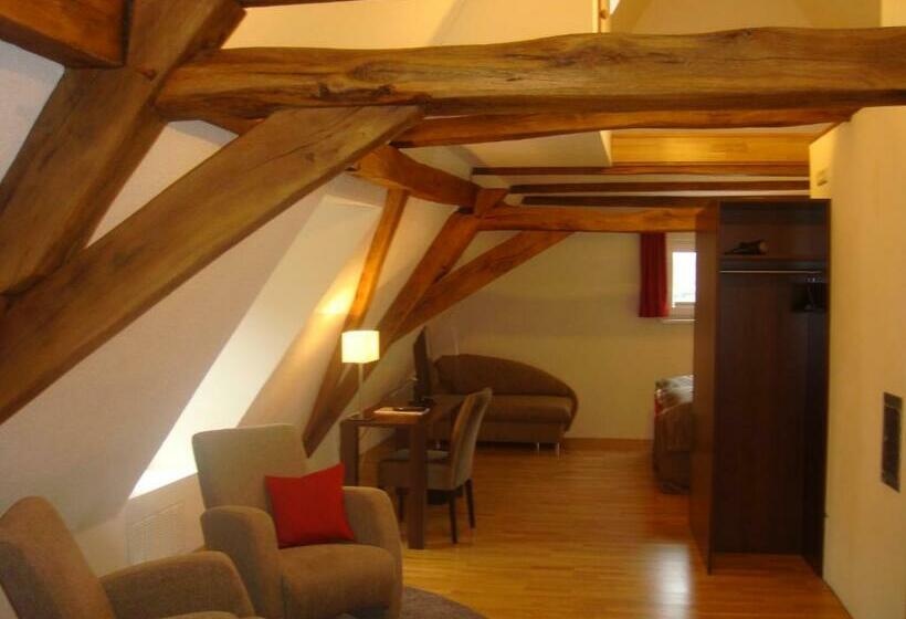 Boutique Hotel Villa Melsheimer