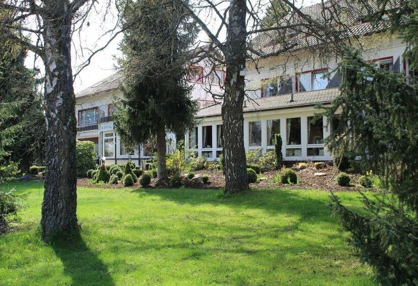 호텔 Gästehaus Am Kurpark