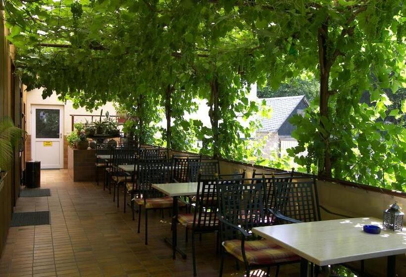 فندق Dampfmühle