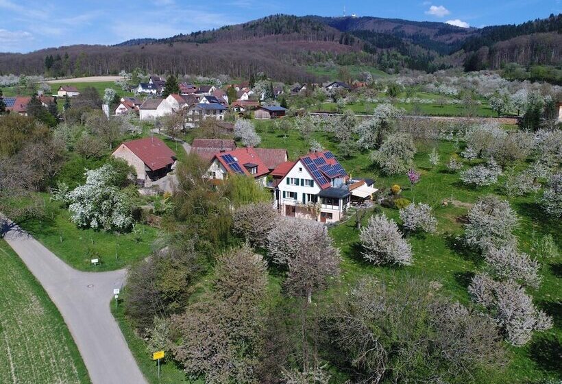 酒店 Haus Am Blauenbach