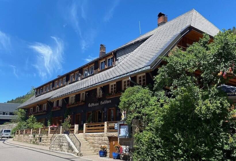 Отель Hirschen Menzenschwand