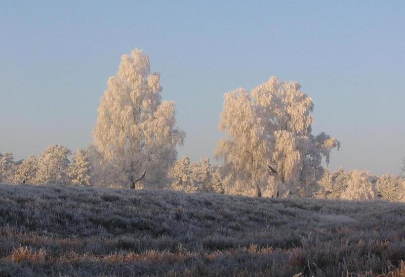 Отель Im Wiesengrund