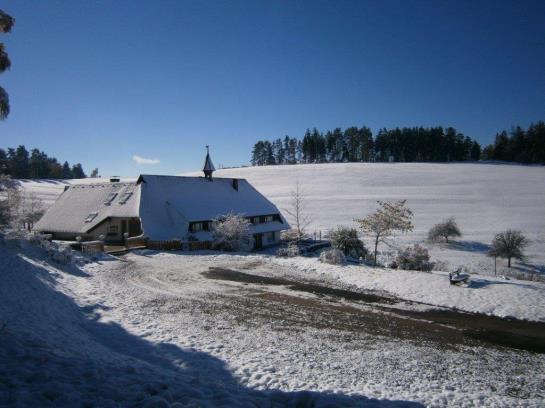 پانسیون Landgasthof Berghof