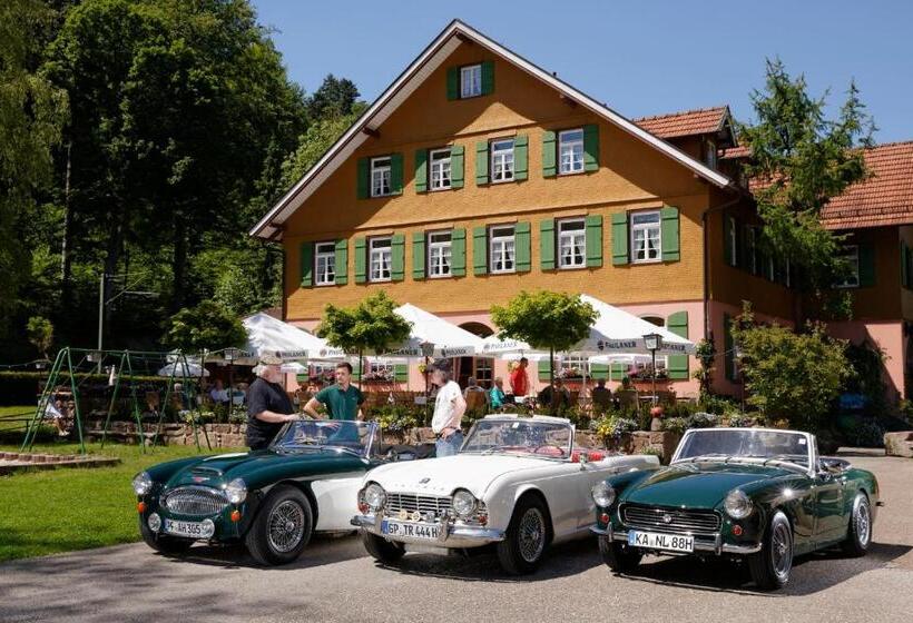 فندق Zur Alten Mühle