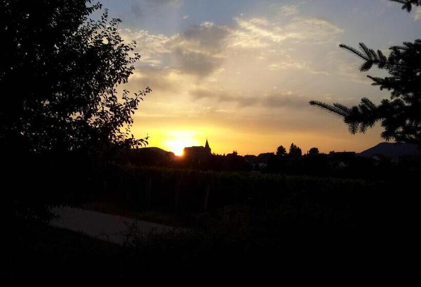 膳宿费 Gästehaus Kleine Kalmit