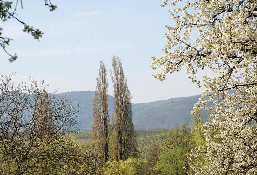 膳宿费 Gästehaus Kleine Kalmit