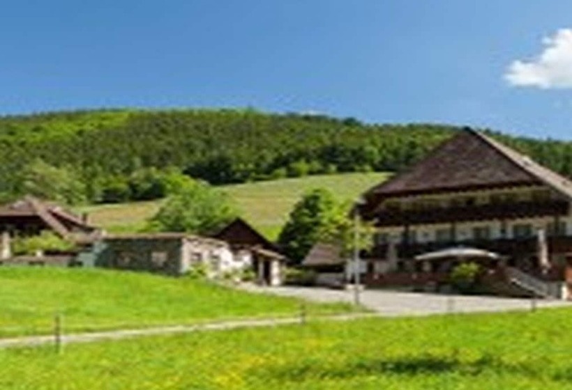 פנסיון Landgasthaus Grüner Baum