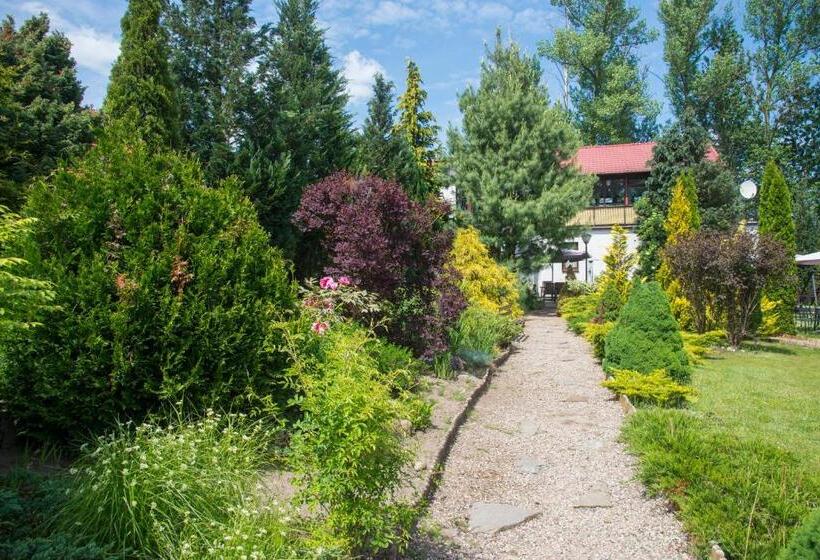 Отель Centrum Ulan Spa