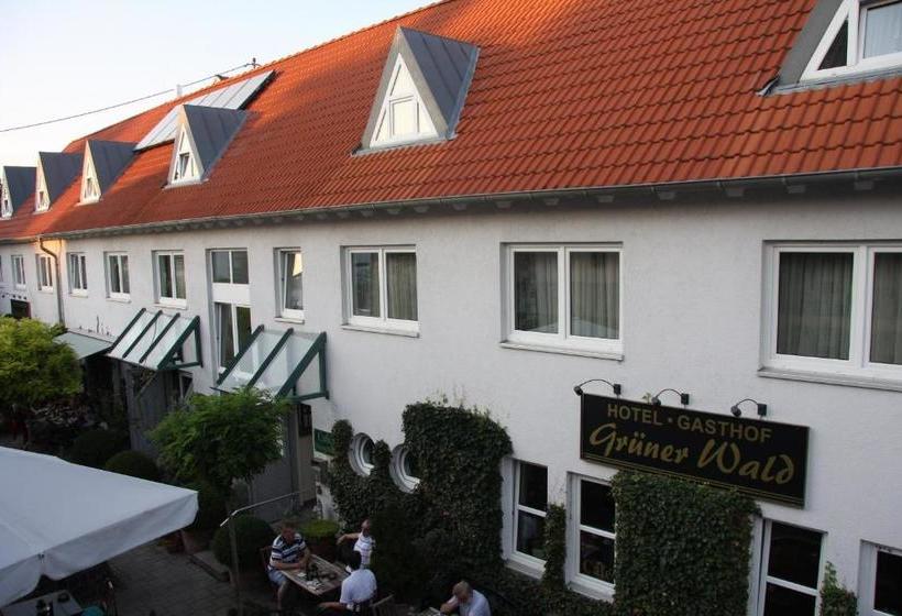 Отель Gasthof Gruner Wald