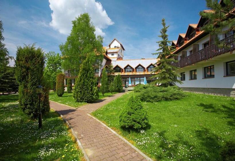 酒店 Geovita Muszyna