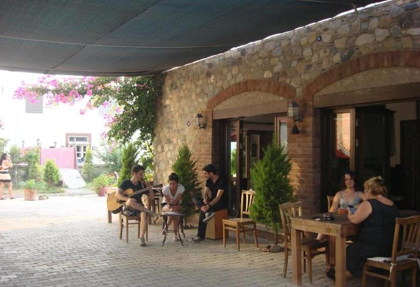 فندق Second Spring