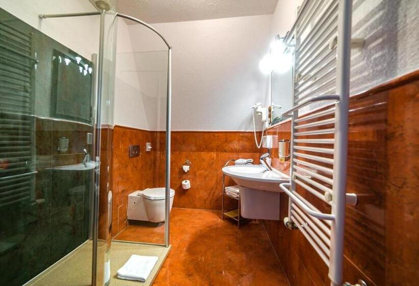 호텔 Jelenia Struga Medical Spa