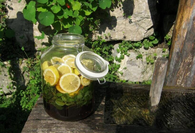 Naturidyll Hotel Hammerschmiede