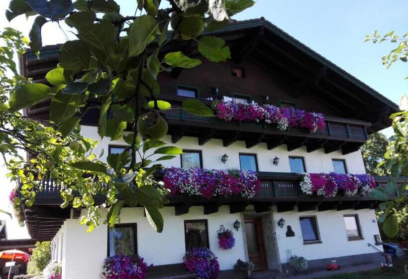 Schusterbauer