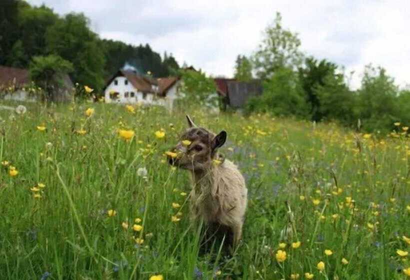 膳宿费 Winzerhof Strablegg