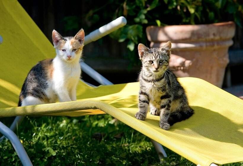 膳宿费 Winzerhof Strablegg