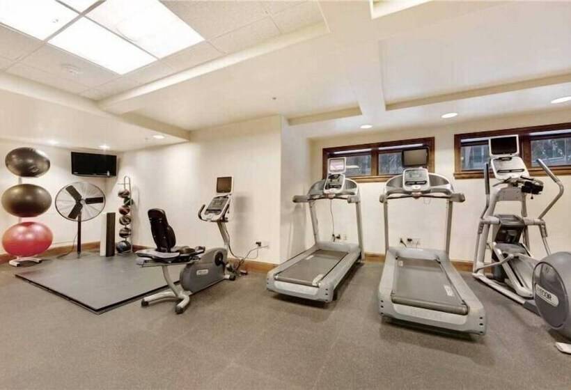 Luxury Ski In, Ski Out 2 Bedroom Mountain Residence In The Heart Of Lionshead Village With Heated Sl