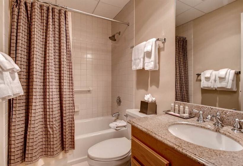 Ski In, Ski Out Studio Condo In The Heart Of Lionshead Village With Hot Tubs And Pool
