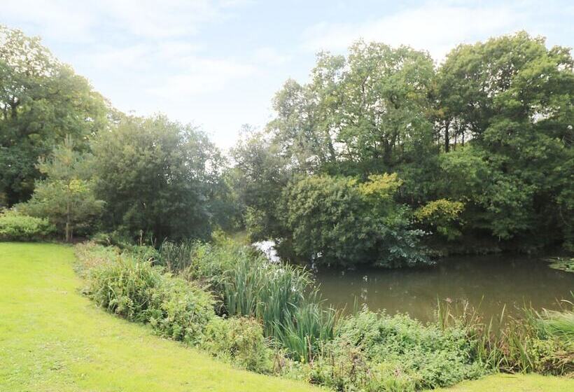 6 Streamside