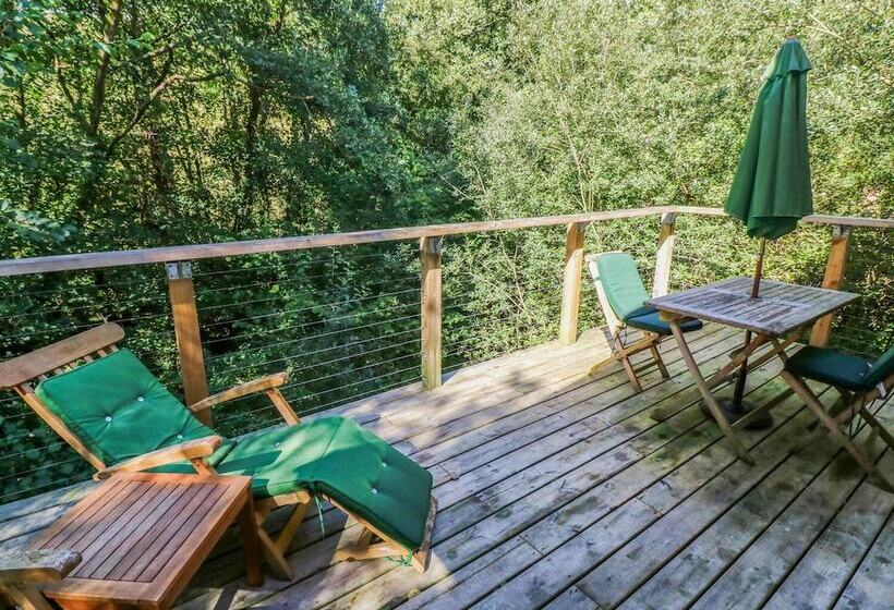 6 Streamside