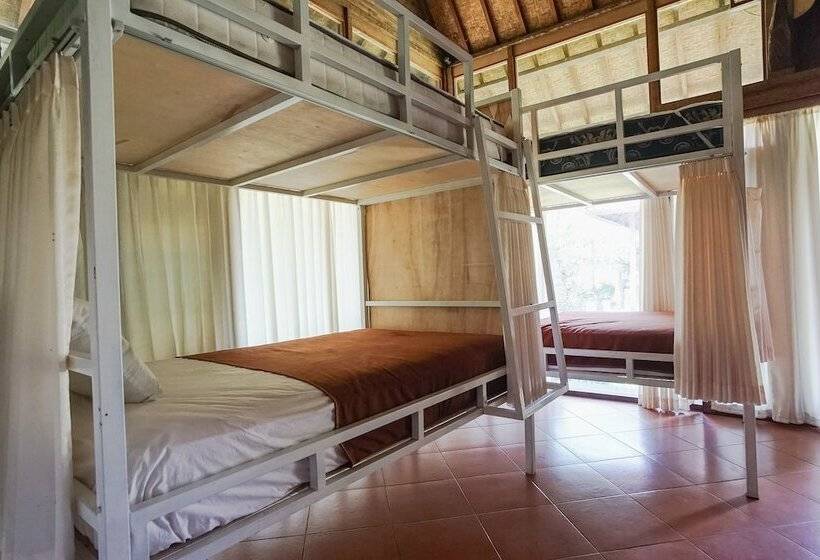 هاستل Bali Eco Living Yoga Healing Meditation And Retreat Center