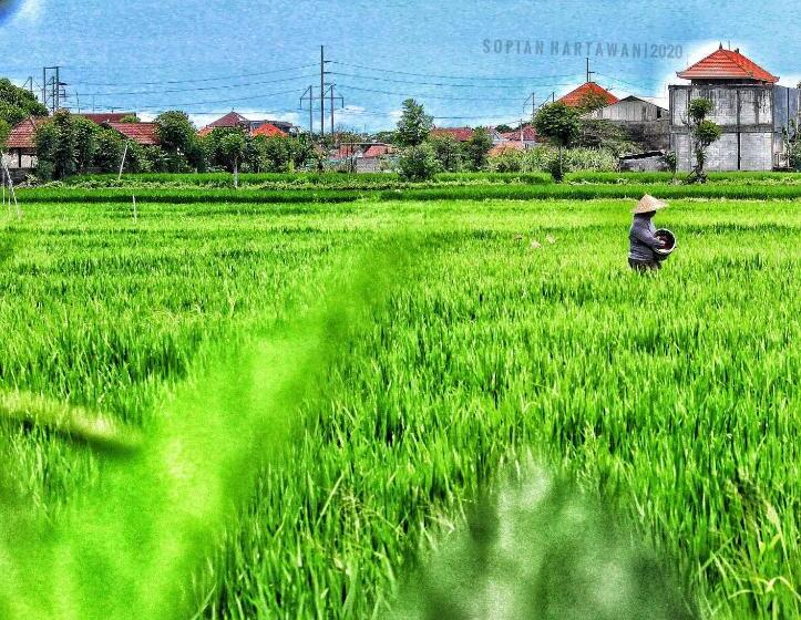 هاستل Bali Eco Living Yoga Healing Meditation And Retreat Center