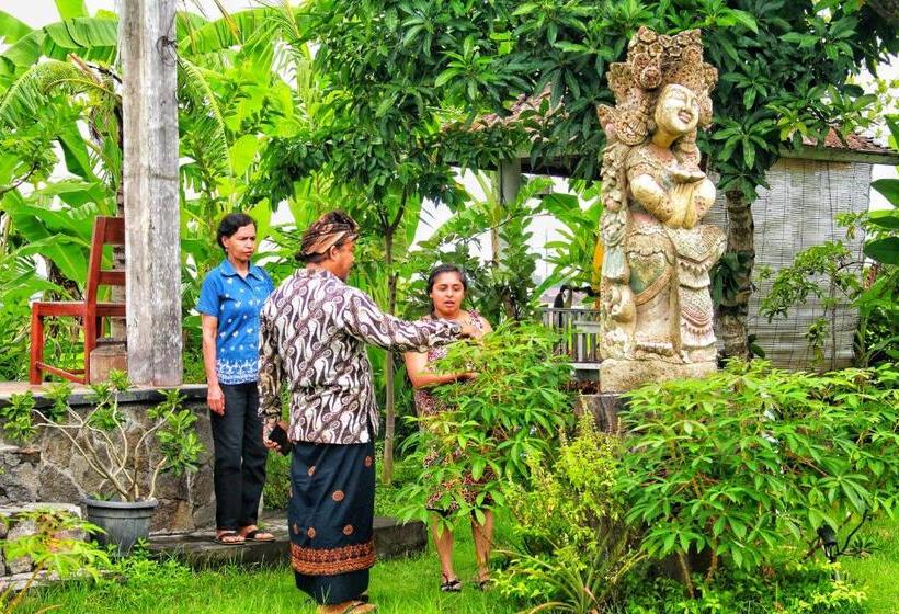 هاستل Bali Eco Living Yoga Healing Meditation And Retreat Center