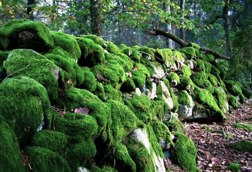 تختخواب و صبحانه Kvarnen I Knällsberg