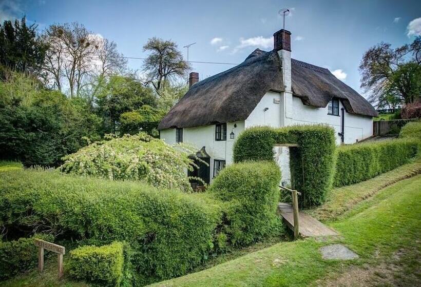 Foley's Cottage