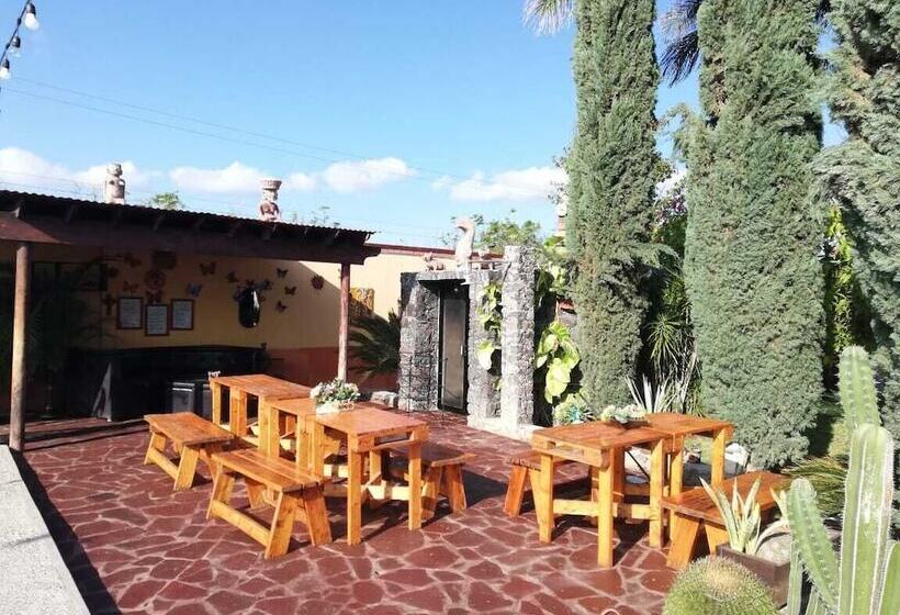 هتل La Estancia Spa