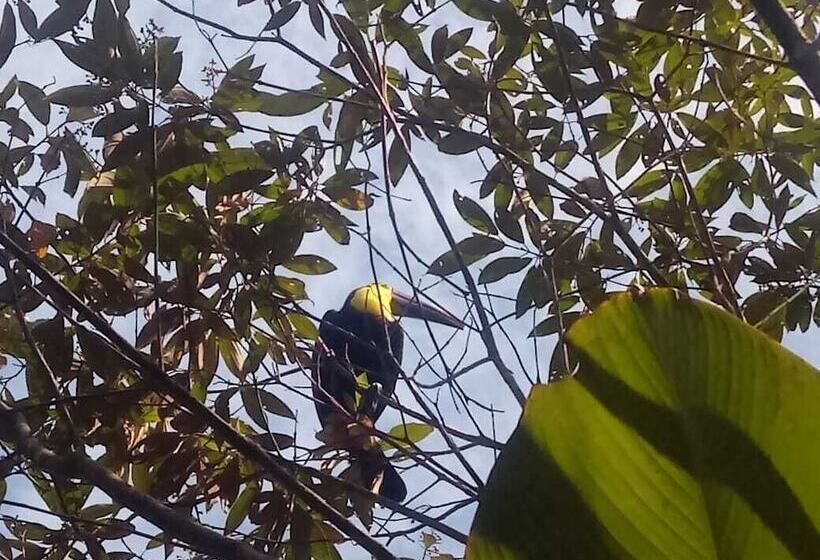 هتل Toucan & Tarpon