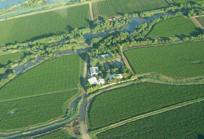 פנסיון African Vineyard Guest House