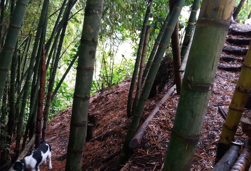 پانسیون Tranquility, Fresh Air, Birds Eye View, Green Areas, Panoramic View