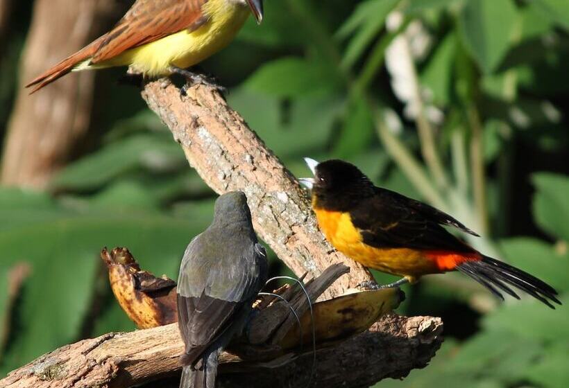 پانسیون Tranquility, Fresh Air, Birds Eye View, Green Areas, Panoramic View