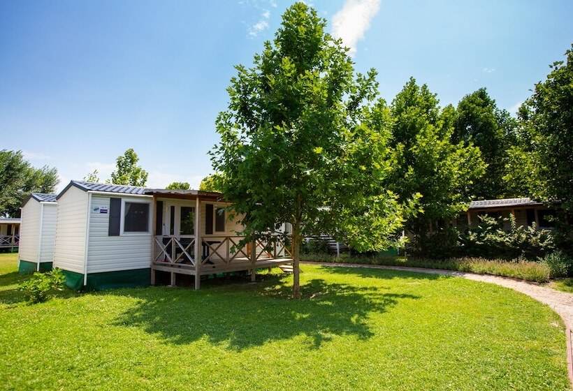 Курорт Pelso Camping