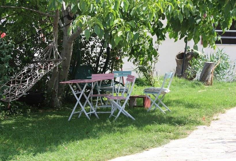 Rose Hotel B&b