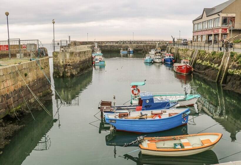 1 The Moorings