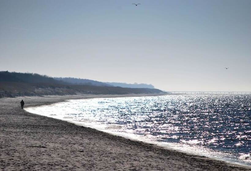 Dünenmeer Ferienhäuser