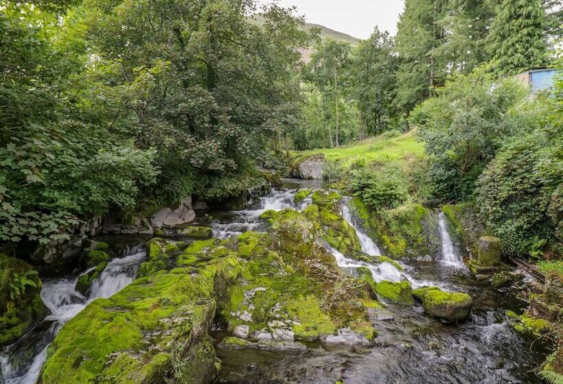 Dyfi Cottage