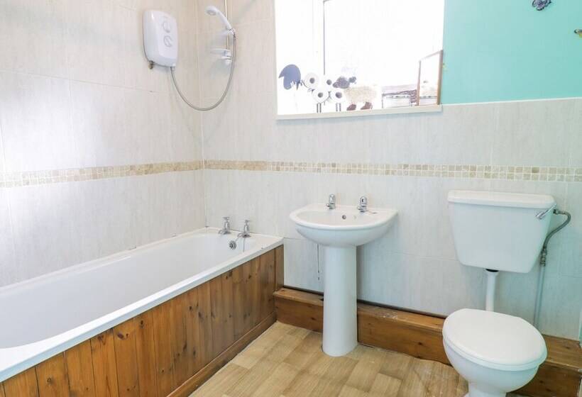 Dyfi Cottage