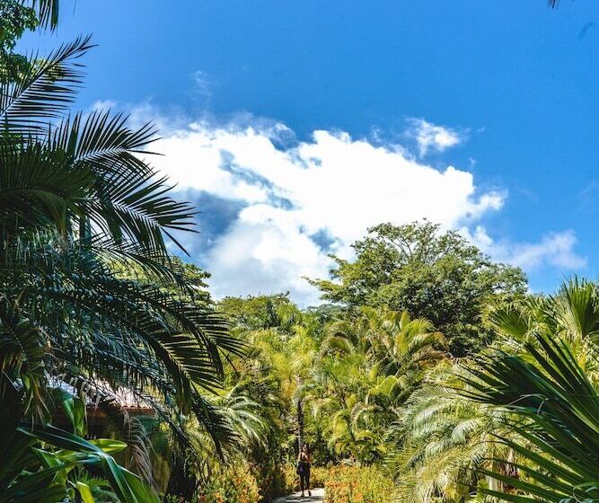 هتل Playa Cielo Beach Front