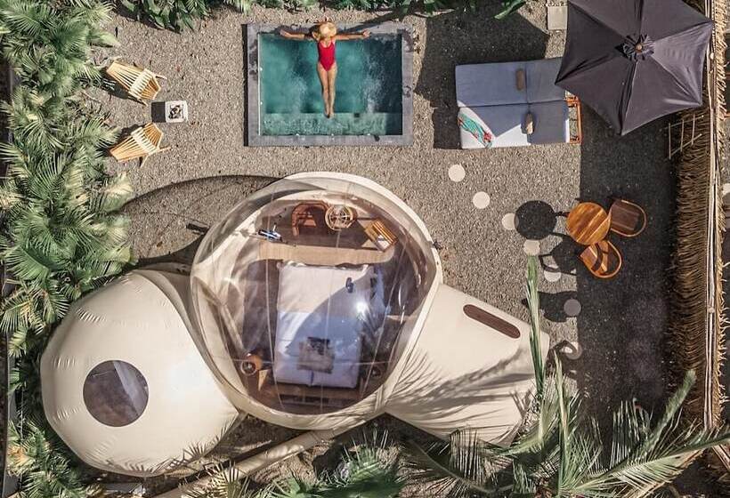 هتل Satori The Bubble Experience Lodge
