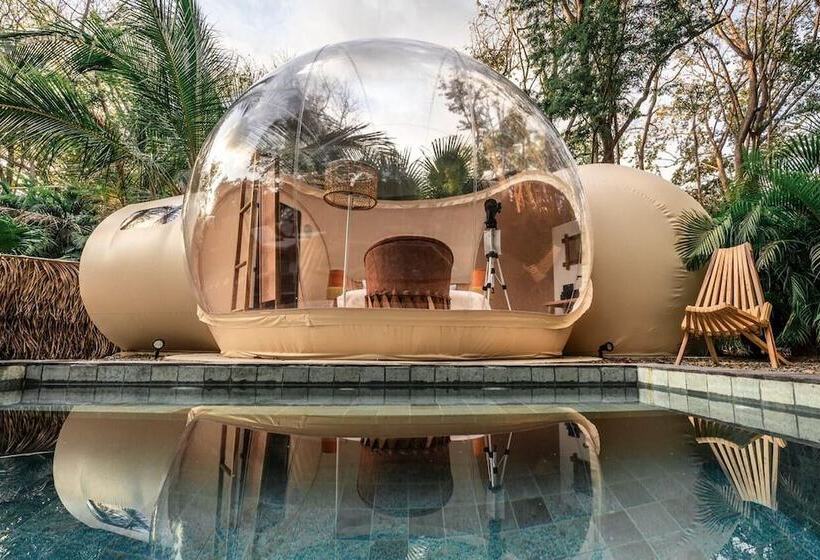 هتل Satori The Bubble Experience Lodge