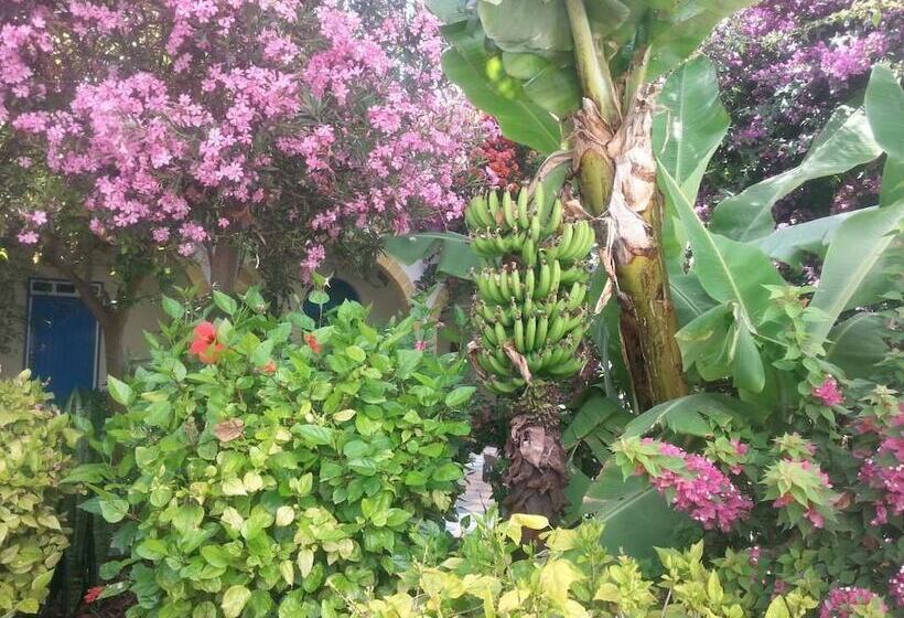 پانسیون Dar Kenavo