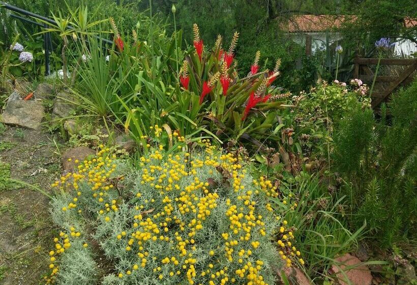 پانسیون La Lomita Del Chingolo