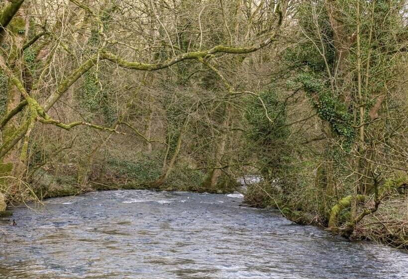 Wye Apartment, Litton Mill