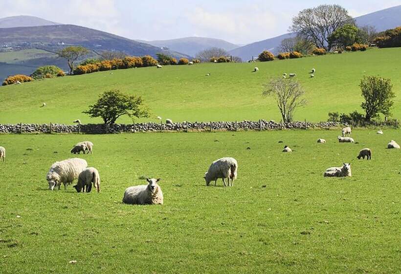 Hafod