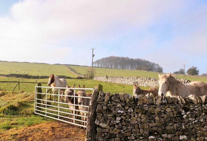 The Stables